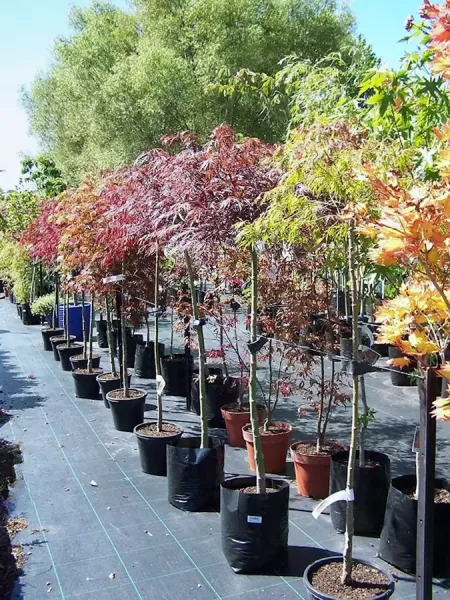 The Garden Centre Timaru