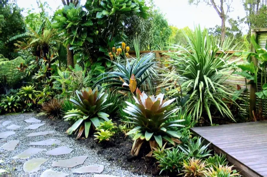Aucklands' Better Gardens
