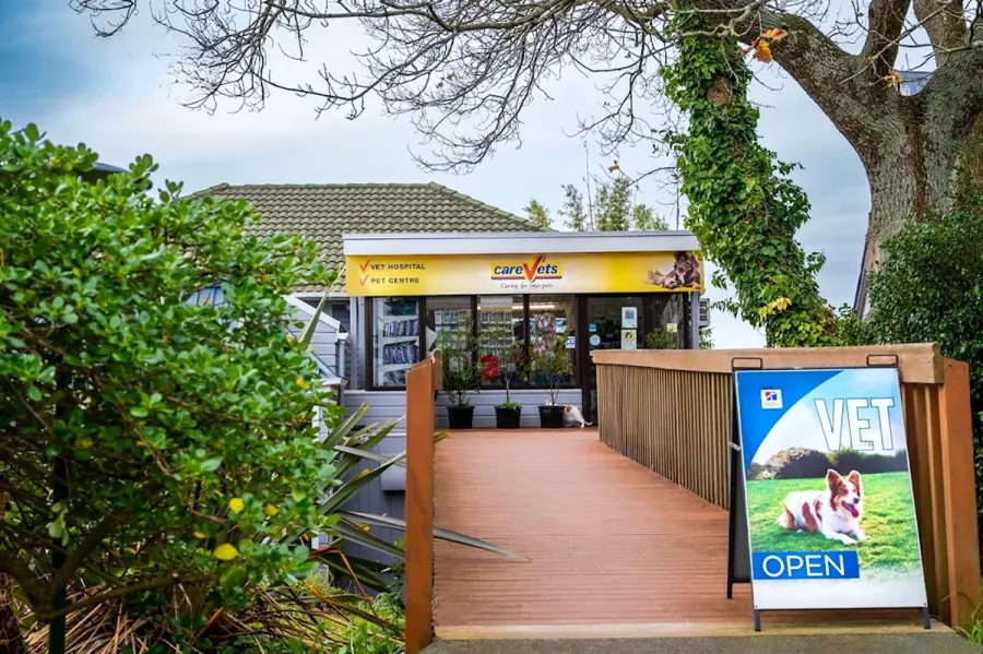 CareVets Glen Eden