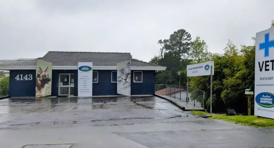 Auckland Veterinary Hospital