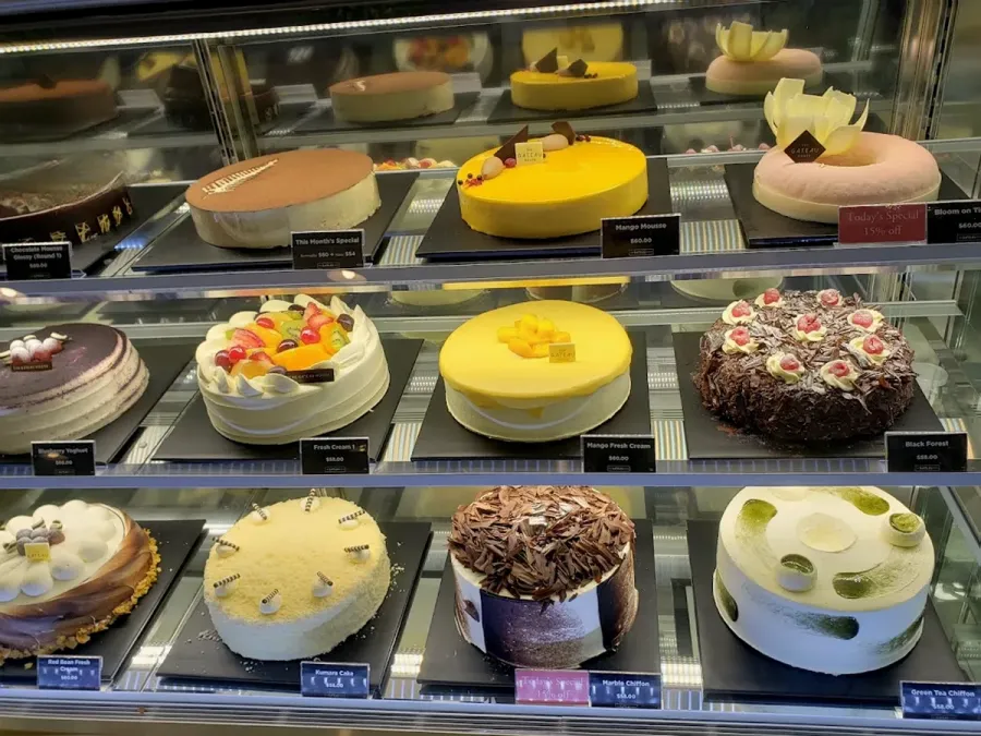 The Gateau House Albany