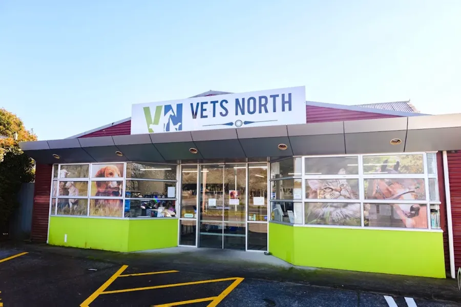 Vets North Kumeu
