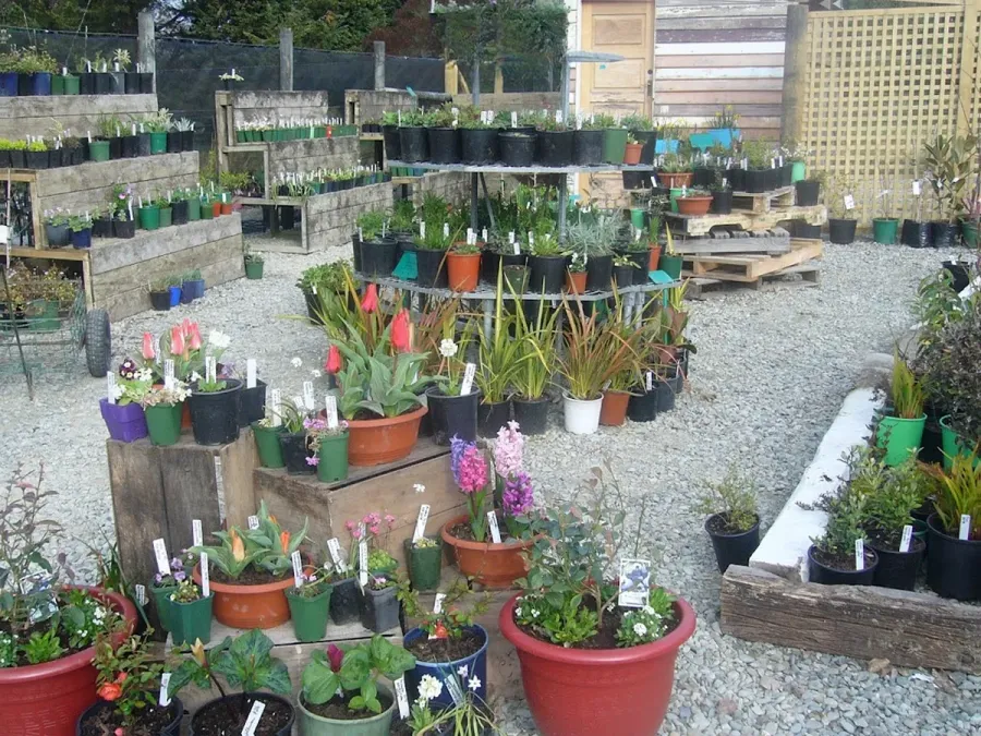 The Fruitful Potager nursey