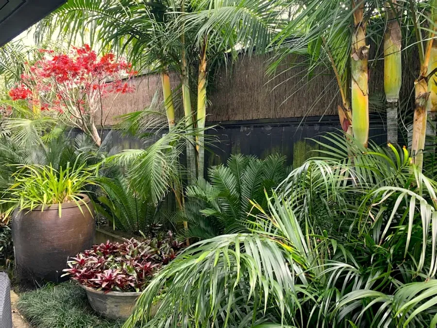 Silverfern Landscapes Ltd