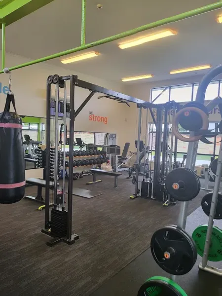 The Exercise Studio