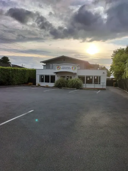 Kohimarama Veterinary Clinic