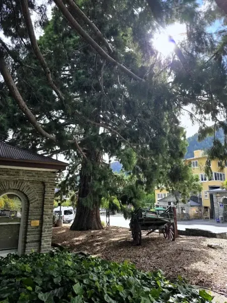 Queenstown Citizens Advice Bureau