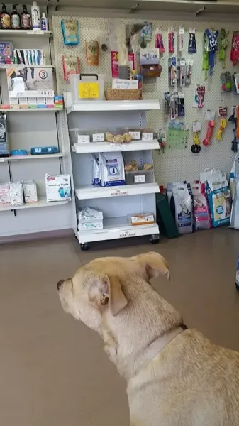 Blockhouse Bay Veterinary Centre