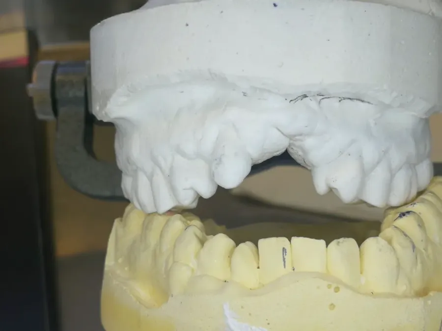 Petone Dental Laboratory