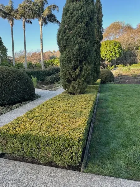 Sunlight Garden Care