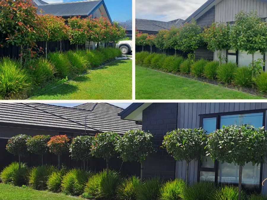 Greenlatch Mowing