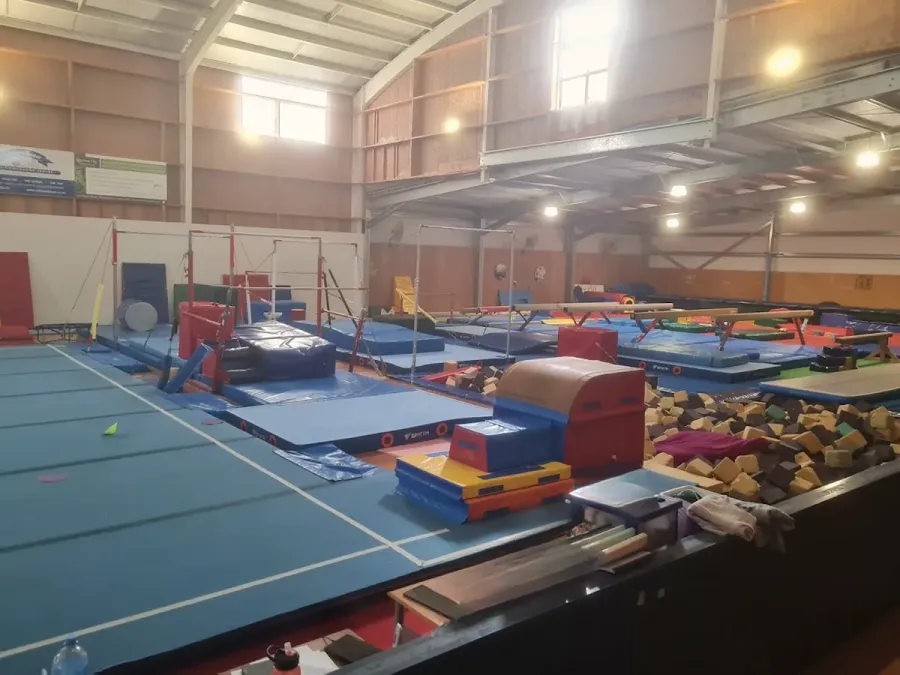 Kapiti Gymnastics Club
