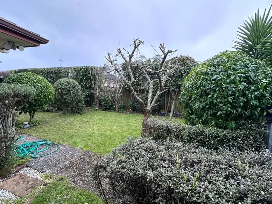 Franny’s Landscaping - Auckland Tree Services Expert