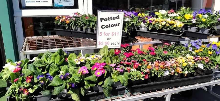Geraldine Garden Centre