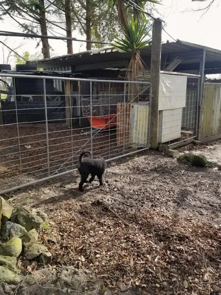 Woodcote Farms Boarding Kennels & Cattery