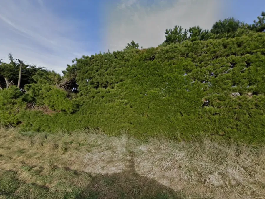 Ricks Rock Walls