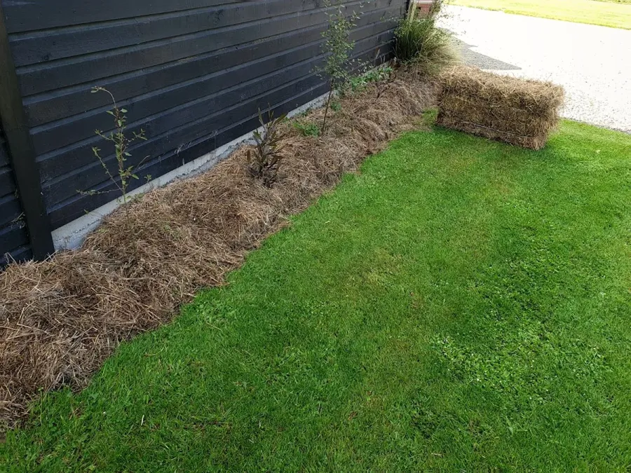 Quality Feeds & Contracting Ltd