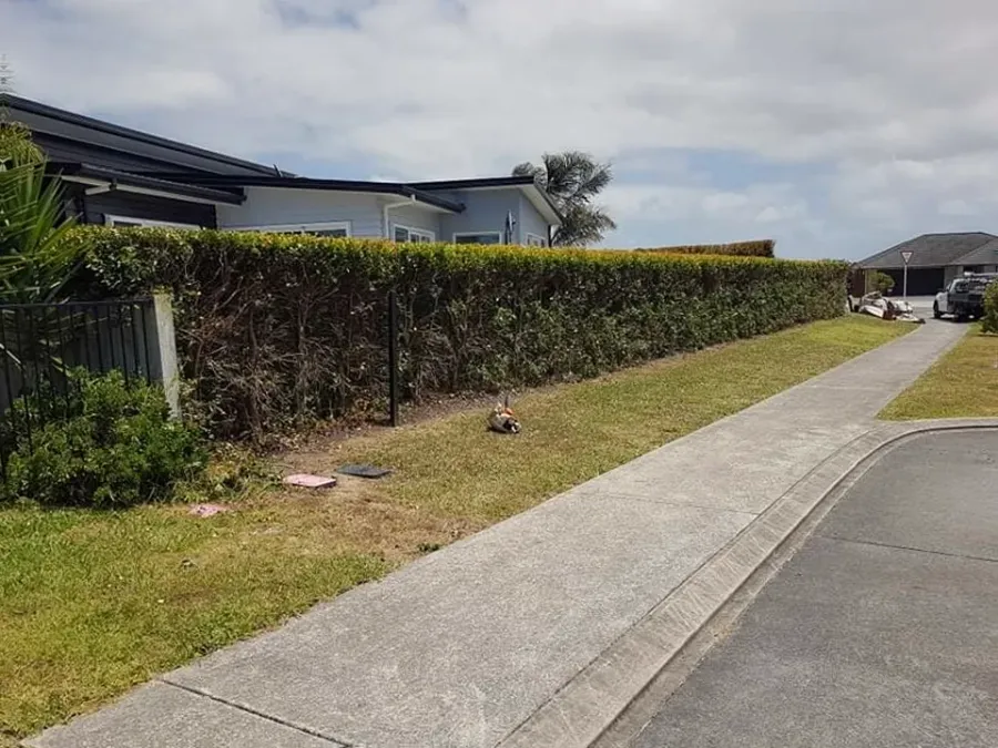 Lai's Garden Maintenance