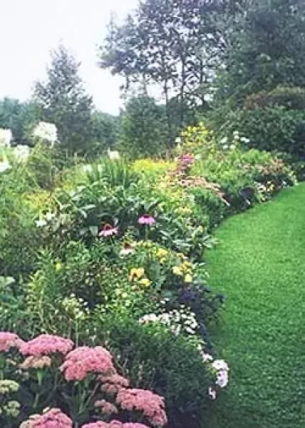 Mainscape Garden Supplies