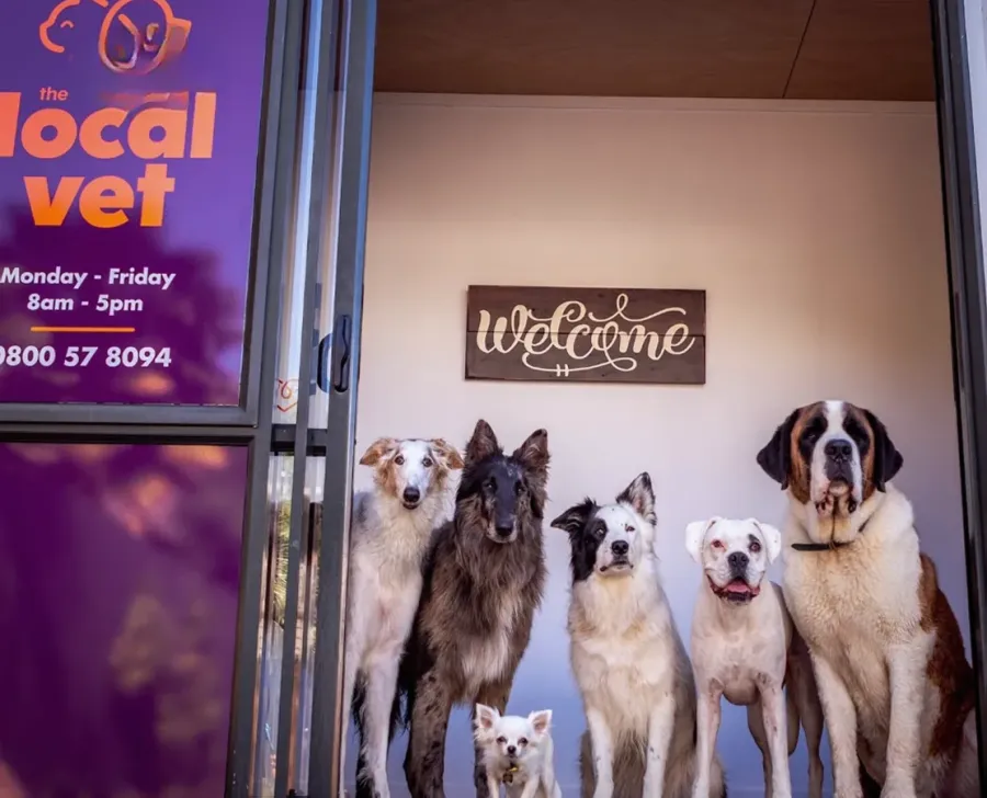 The Local Vet