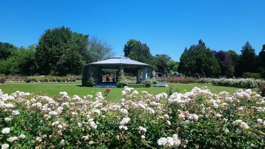 Frimley Park