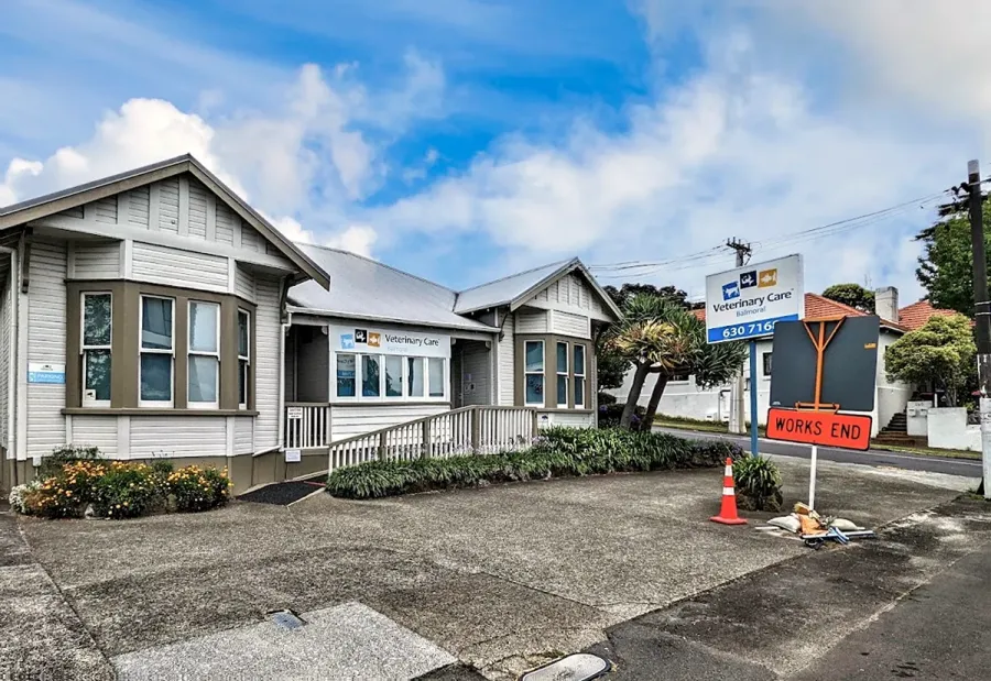 Balmoral Veterinary Care