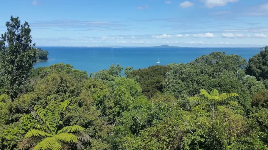 Coast Physio Whangaparaoa