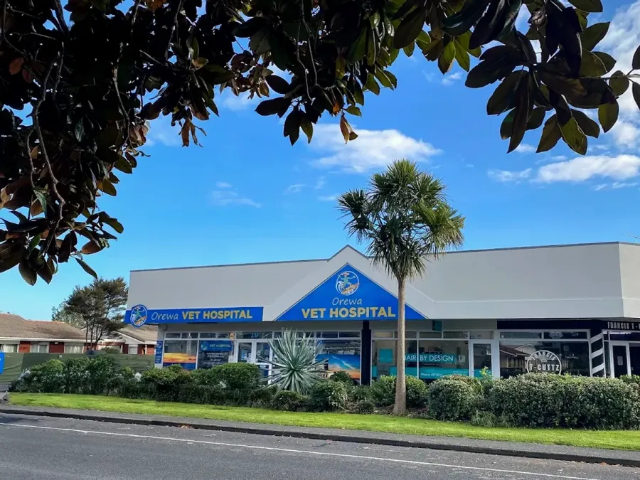 Orewa Vet Hospital