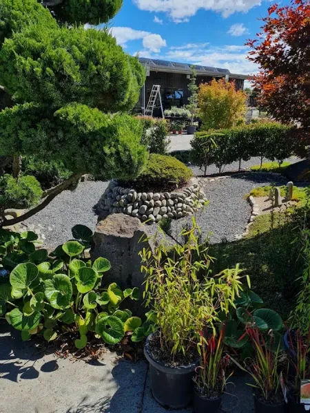 Southern Woods Nursery
