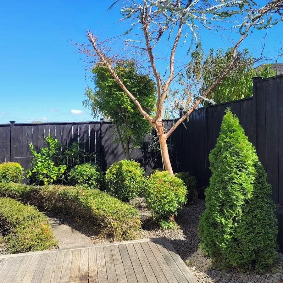 Select Lawn Mowing Oteha, Albany and the Bays