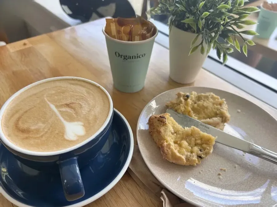 The Haven Cafe and Curios