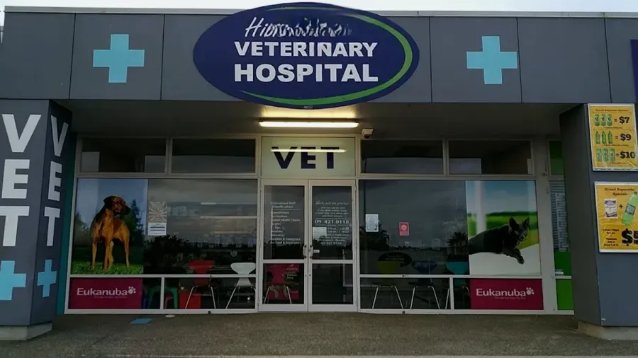 Hibiscus Coast Veterinary Hospital
