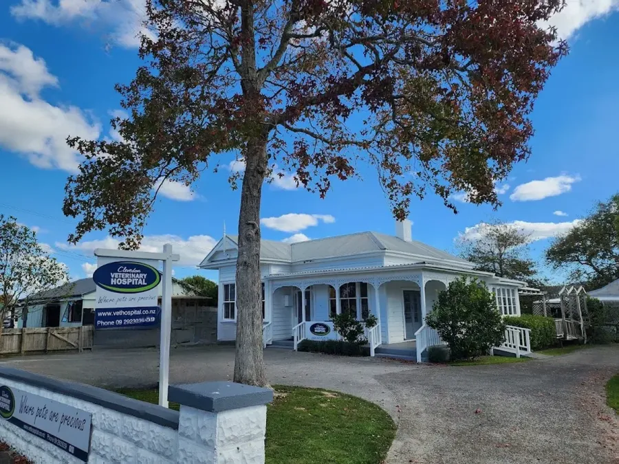 Clevedon Veterinary Hospital