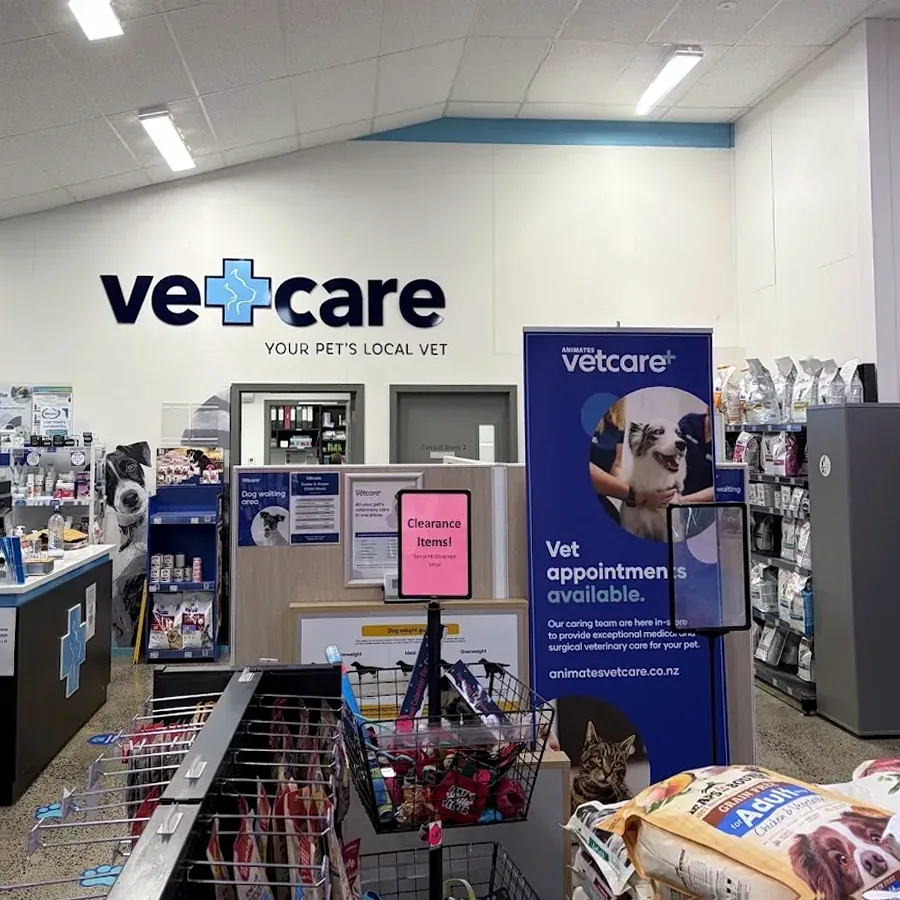 Animates Vetcare Clinic Glen Innes