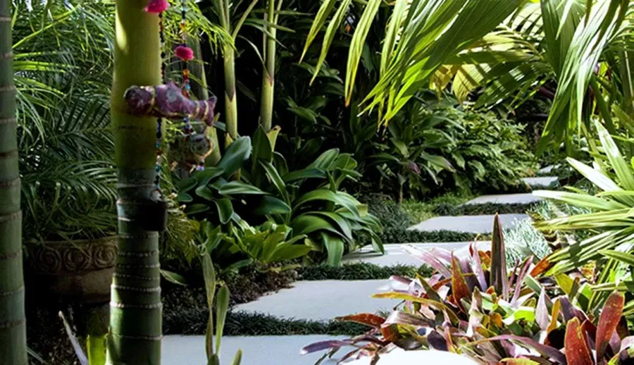 Zones Landscaping Christchurch- Puneet Singh