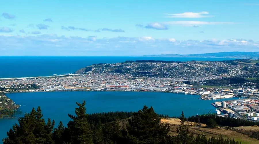 Dunedin Community Accounting