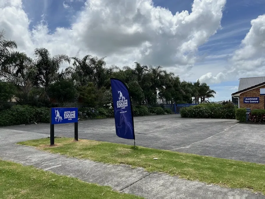 AUCKLAND EQUINE PERFORMANCE VETS
