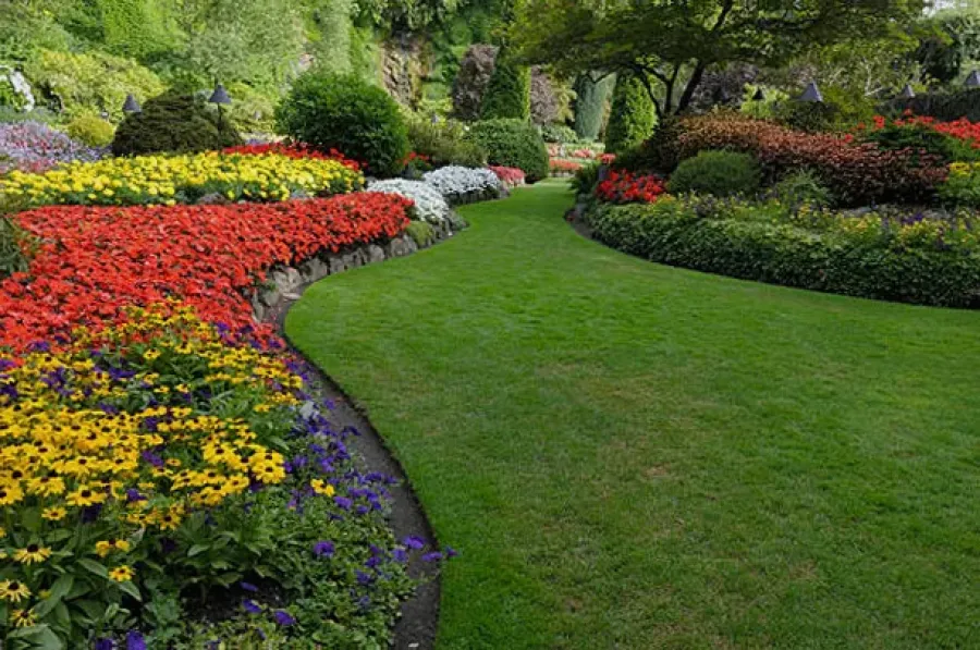 Diamond Landscapes Limited
