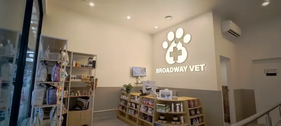 Broadway Vet