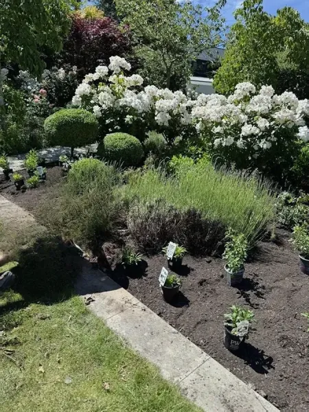 The Plot Garden Design NZ