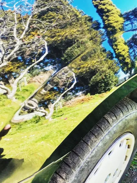 Auto Motives ( Auto Detailing)