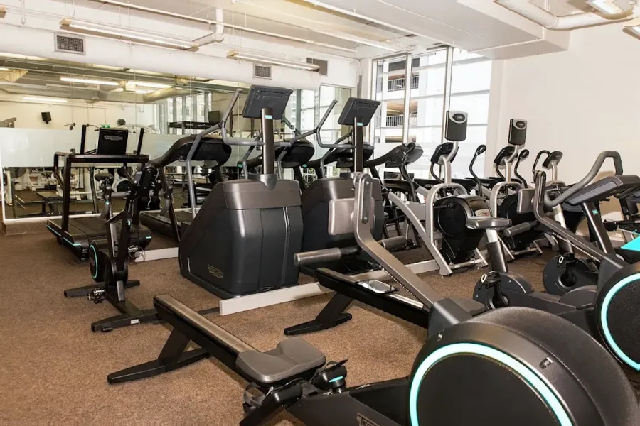 Tortoise Gym Auckland CBD